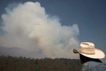 Incendio en límites de Coahuila y Nuevo León controlado en 63 % y liquidado en 35%: Sedena