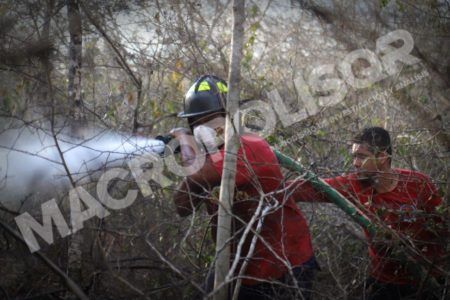 EXHORTAN EN PUERTO MORELOS A PREVENIR INCENDIOS FORESTALES