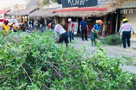 Inicia Tulum con las medidas preventivas previo a temporada de huracan