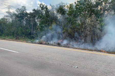 Suman ocho incendios forestales atendidos en Puerto Morelos, dos siguen activos