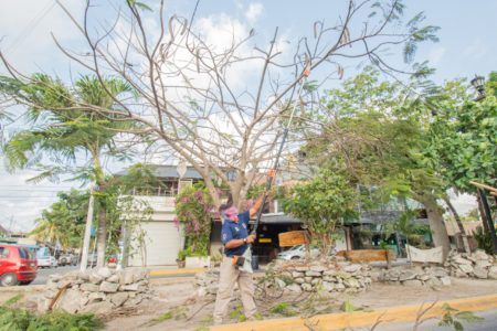 Emprenden en Tulum acciones para evitar colapso de movilidad en temporada de huracanes