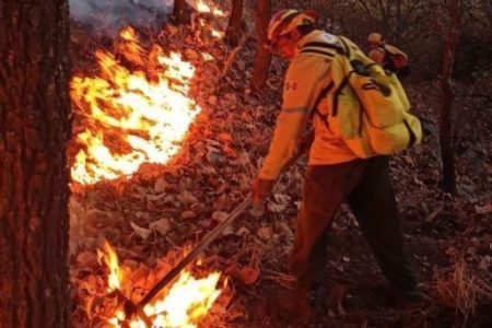 Sofocan seis incendios forestales en el Bosque de la Primavera; uno más ya está controlado