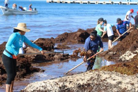 GOBIERNO DE PUERTO MORELOS REDOBLA ESFUERZOS EN LA LIMPIEZA DE PLAYAS ANTE EL RECALE DE SARGAZO