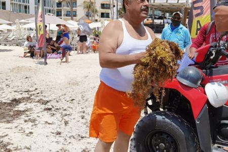 PLAYA DEL CARMEN VOLVERA A TENER SUS PLAYAS LIMPIAS Y HERMOSAS, LIMPIAREMOS DE SARGAZO Y CORRUPCIÓN SOLIDARIDAD: CHANO TOLEDO