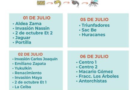 REALIZA AYUNTAMIENTO DE TULUM NEBULIZACIÓN CONTRA DENGUE