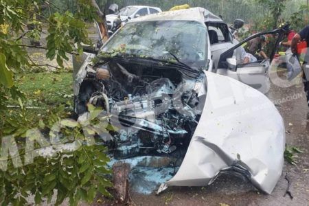 Destrozado, resulta vehículo estampado contra un árbol y poste en Cancún.