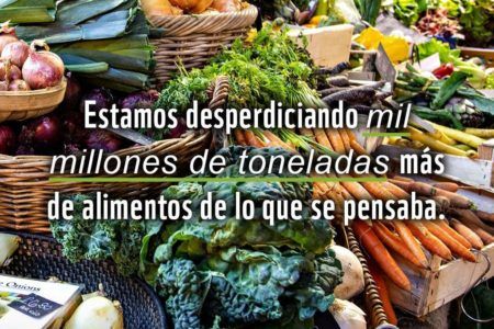El mundo desperdicia cerca del 40% de los alimentos cultivados