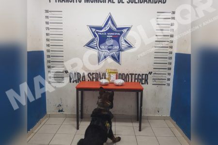DETECTA DROGA PERRO POLICÍA