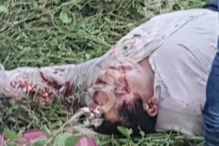 MORTAL CHOQUE CON UN CABALLO. Pierde la vida el conductor de una Ranger al impactarse contra un caballo en la carretera federal
