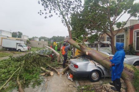PUERTO MORELOS REPORTA SALDO BLANCO, LUEGO DEL PASO DEL HURACÁN “GRACE”