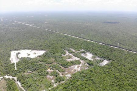 Alerta ecólogo crisis ambiental por riesgos civilizatorios