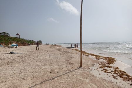 CONTINÚAN LABORES DE LIMPIEZA DE PLAYAS EN TULUM