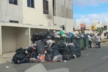 TRES SEMANAS SIN PASAR LA BASURA.- Laura prefiere robar que recoger la basura