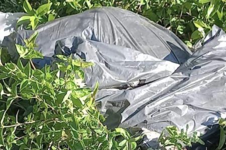 LO MATARON A CACHITOS.- Hallan cuerpo desmembrado y embolsado en la carretera Tulum-Carrillo Puerto