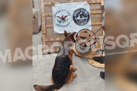 MOTA ENROLLADA.- Perro policía descubre 17 kilos de mariguana oculta en rollos de cable