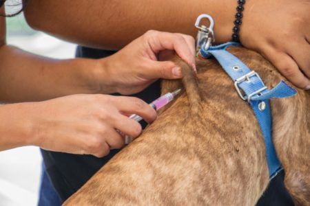 FORTALECE GOBIERNO DE PUERTO MORELOS ACCIONES EN FAVOR DE LA SALUD PÚBLICA