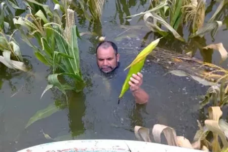 Crean “Fuerza Tula”, corrido que describe la inundación en Hidalgo