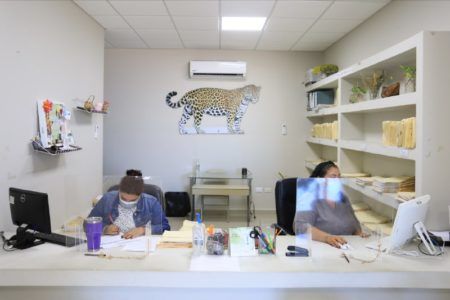Gobierno de Lili Campos traza acciones a favor del cuidado del medio ambiente