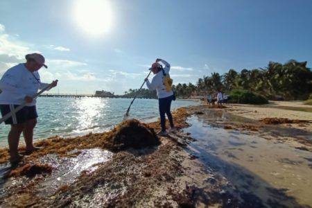 BUSCARÁ ACTUAL ADMINISTRACIÓN RECUPERAR DISTINTIVO “BLUE FLAG” PARA PLAYAS DE ISLA MUJERES