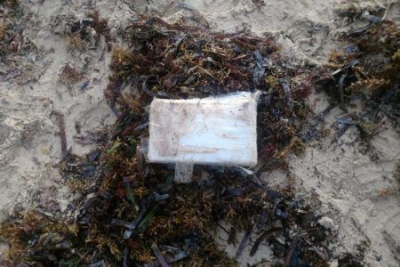 RECALA DROGA EN TULUM.- Sacan del mercado 3 mil dosis de cocaína