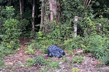 Hallan cuerpo sin vida embolsado en Carrillo Puerto