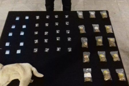 Narco ternurita. Albañil escondía drogas dentro de un peluche en Puerto Morelos