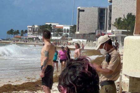Emprender recolección estratégica del sargazo en Playa del Carmen 