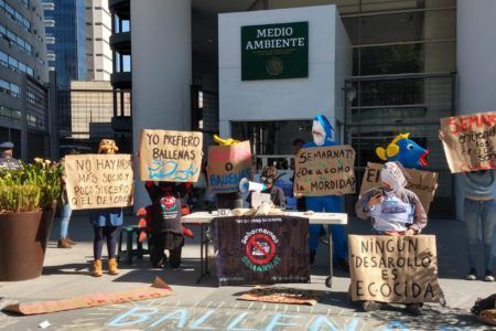 Organizaciones y comunidades de La Paz y Cozumel protestan en oficinasde Semarnat para evitar la llegada de megacruceros