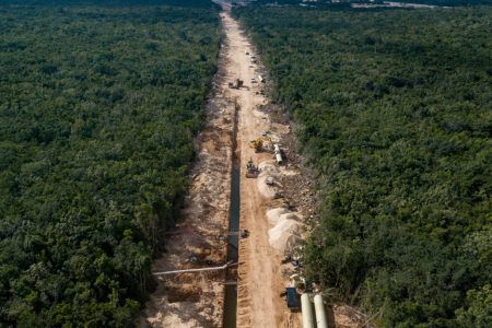 Preocupa a jóvenes de Solidaridad daños irreversibles por obras del Tren Maya 
