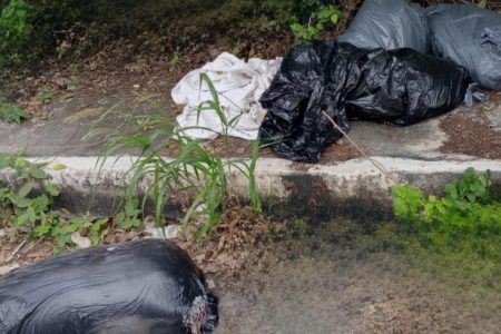 Hallan a dos personas descuartizadas en la colonia El Pedregal