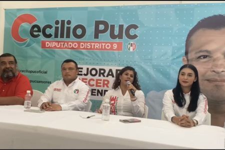 Vital el impulso de las energías limpias: Leslie Hendricks Rubio 