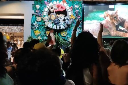 Defensores de animales aceptan reformas a ley ambiental 