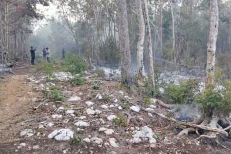 Siguen activos dos incendios forestales en Solidaridad