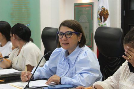 Parquímetros sí pueden ser retirados en Solidaridad; no cuentan con un estudio o justificación de su colocación: Kira Iris
