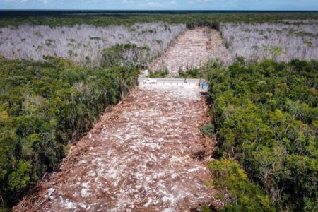 Incertidumbre de empresarios sobre el Tren Maya