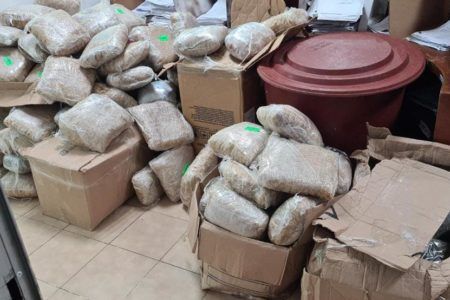 Golpazo al narcotráfico en Cancún; decomisan 200 kilos de drogas