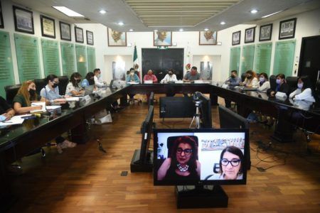 Aprueba Congreso de Quintana Roo Ley Vicaria impulsada por Kira Iris