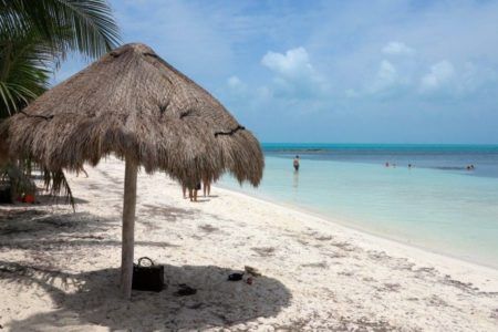 Isla Mujeres tiene nuevo santuario de anidación de tortuga marina