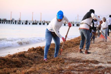Limpieza de playas, prioridad de gobierno de Solidaridad