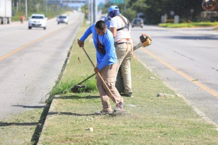 Gobierno de Solidaridad refuerza limpieza en tramos carreteros