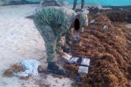 Recalan tabiques de cocaína en Puerto Morelos