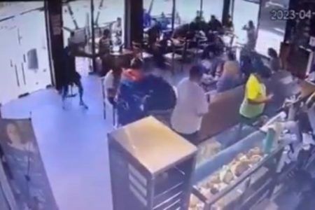 MATAN POR UN ROLEX: Sin lograr su cometido matan a empresario en ‘Starbucks Coffee’ de Tulum