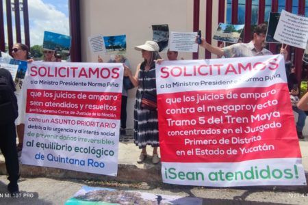 Exigen ambientalistas proteger acuífero y selva maya
