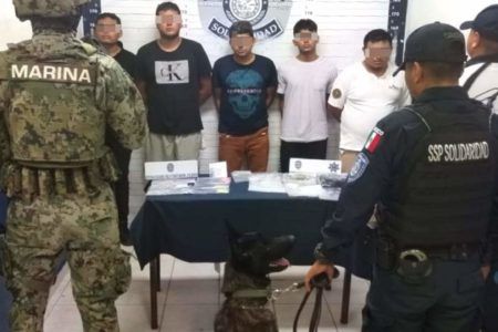 Capturan banda de narcomenudistas en la Quinta Avenida en Solidaridad