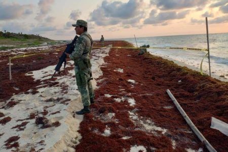 Militares aseguran dos paquetes de droga en playas de Cozumel