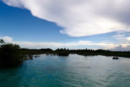 Elige ONU a Quintana Roo sede nacional para celebrar el Día Mundial del Medio Ambiente