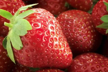 Investiga EU posible hepatitis “A” en fresas mexicanas