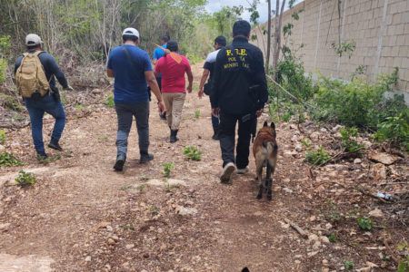 Macabra escena en Bonfil; hallan tres cuerpos