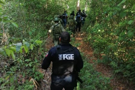 Hallan restos óseos durante operativo de búsqueda en José María Morelos