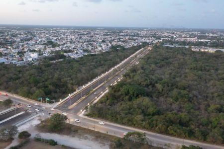 Impidieron terrenos particulares la construcción lineal de la polémica avenida en Playa del Carmen